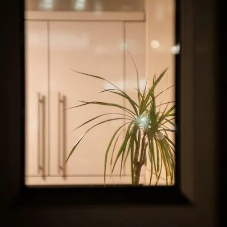 The Windmill Apartamento *